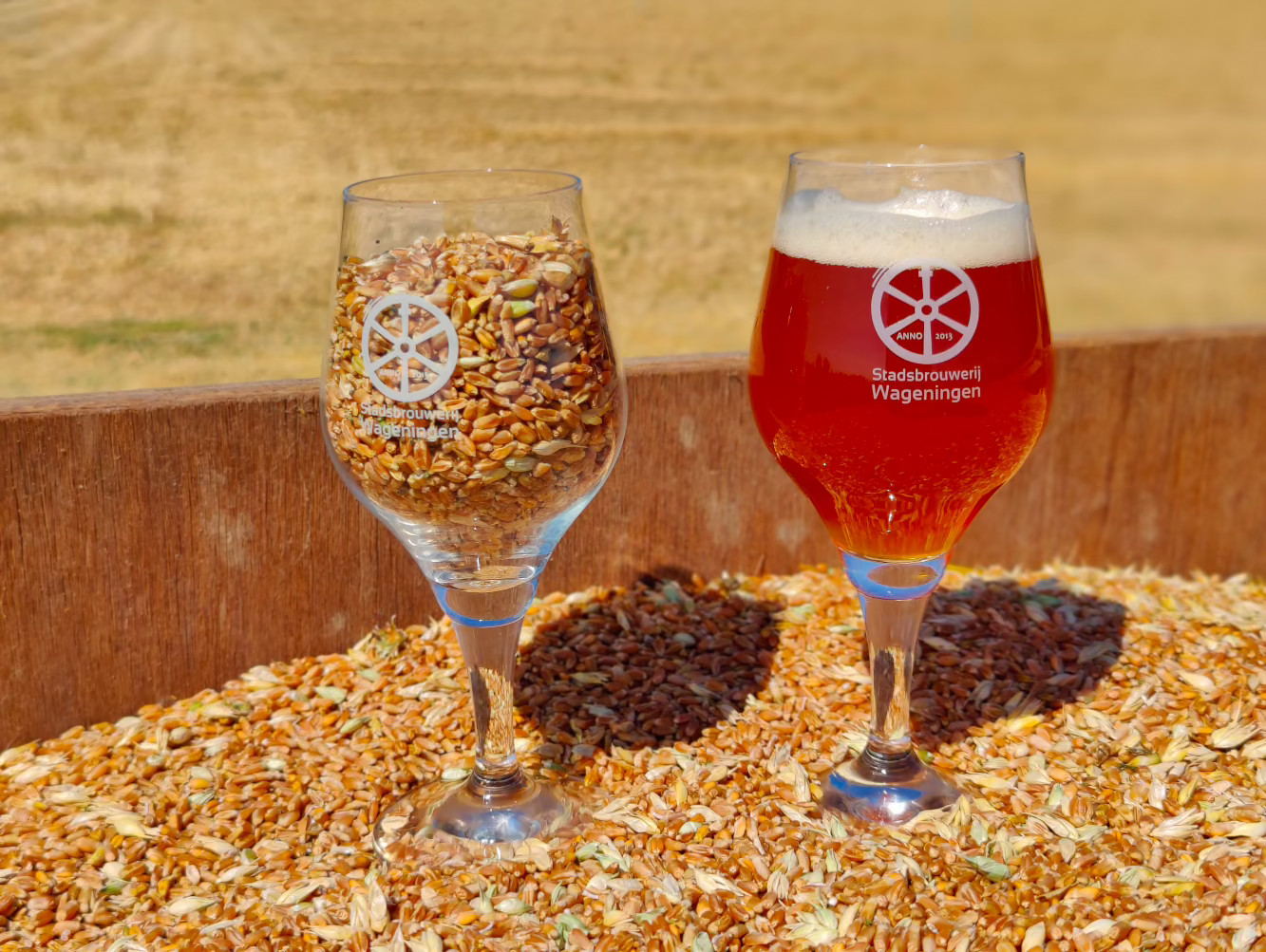 bier graanoogst